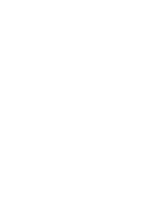 Caribbean • Jamaica • Puerto Rico • Trinidad & Tobago