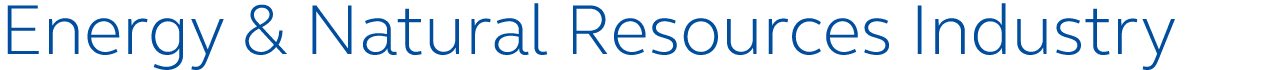 Energy & Natural Resources Industry