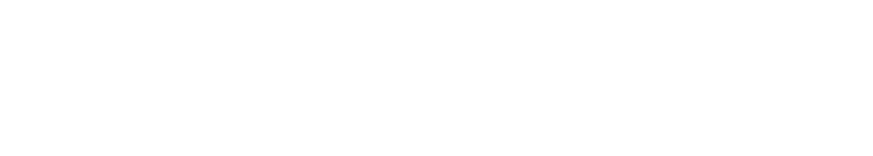 Responding to Major Incidents and Catastrophes