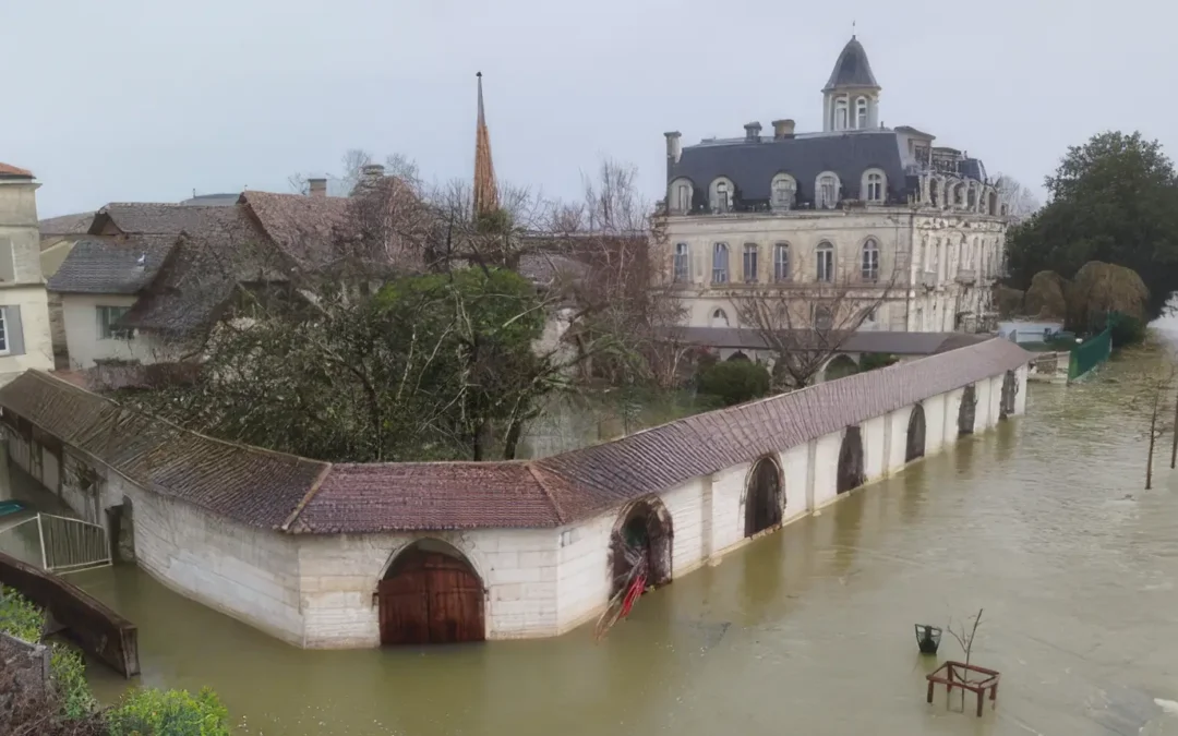 The anatomy of an effective catastrophe response
