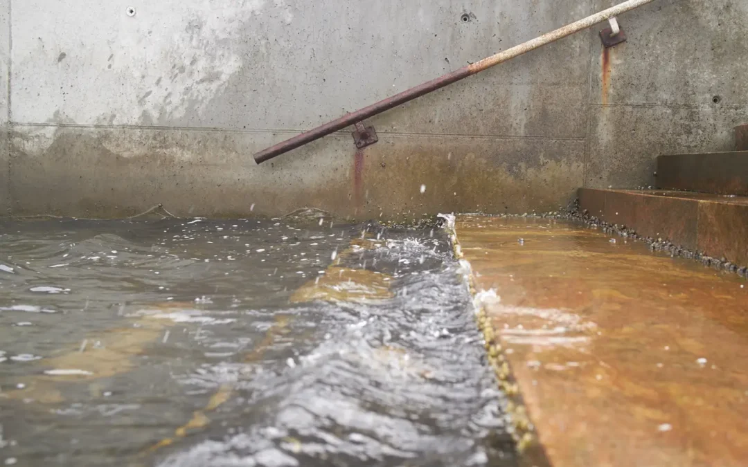 Built for a climate that no longer exists: Why cloudburst losses are rising across the Nordics