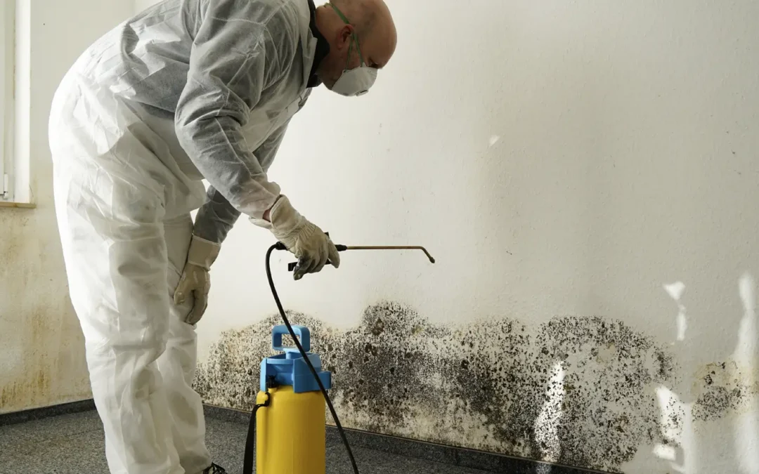 As the UK’s mould problem worsens, effective mitigation is critical
