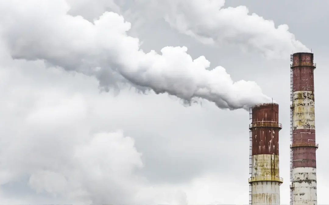 Navigating carbon trading: implications for insurance claims